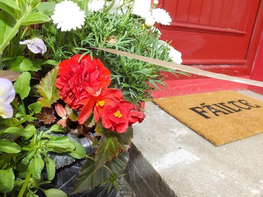 The Cosy Farm Cottage, Donegal Inver Ngoại thất bức ảnh