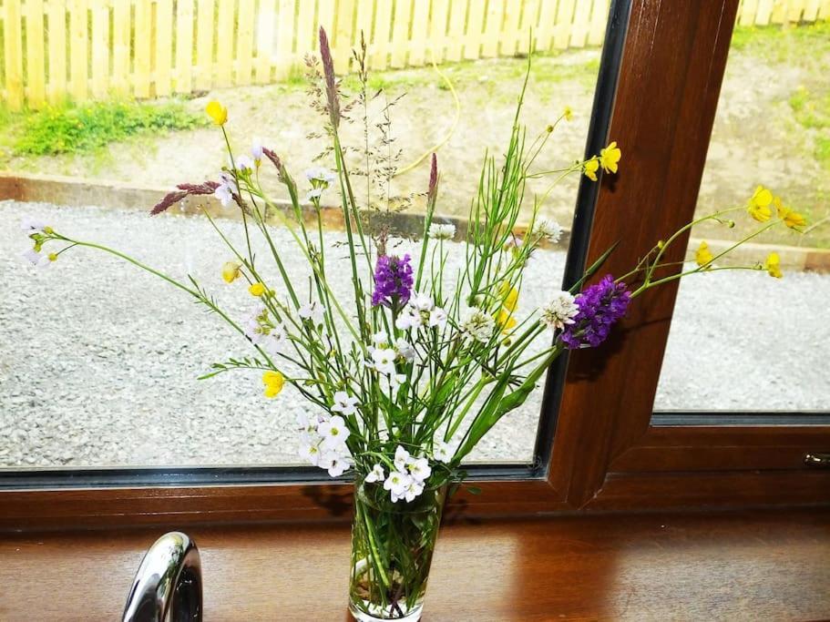 The Cosy Farm Cottage, Donegal Inver Ngoại thất bức ảnh