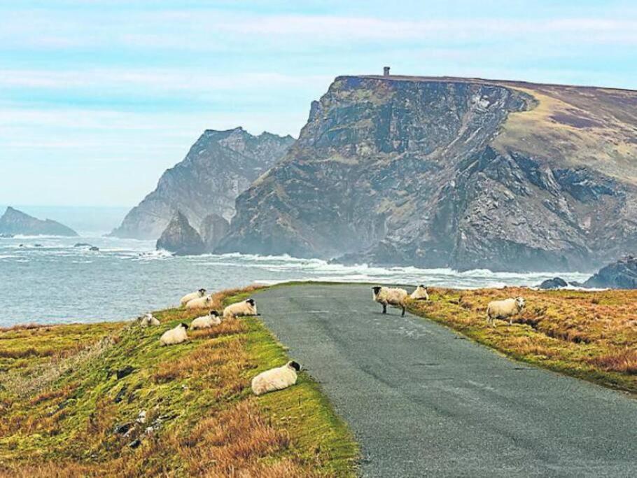 The Cosy Farm Cottage, Donegal Inver Ngoại thất bức ảnh